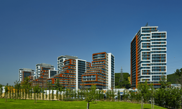 VADİSTANBUL